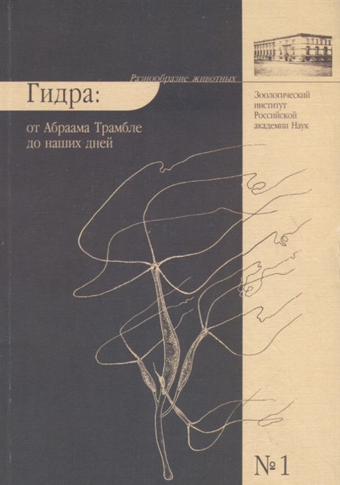Гидра прямая ссылка