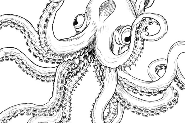 Kraken 6 at