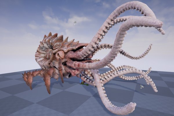 Kraken 11at