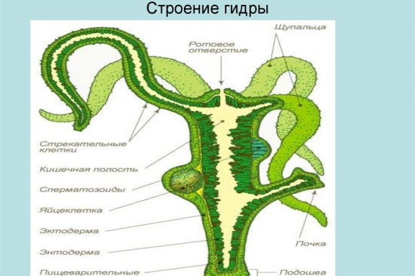 Кракен даркнет маркетплейс